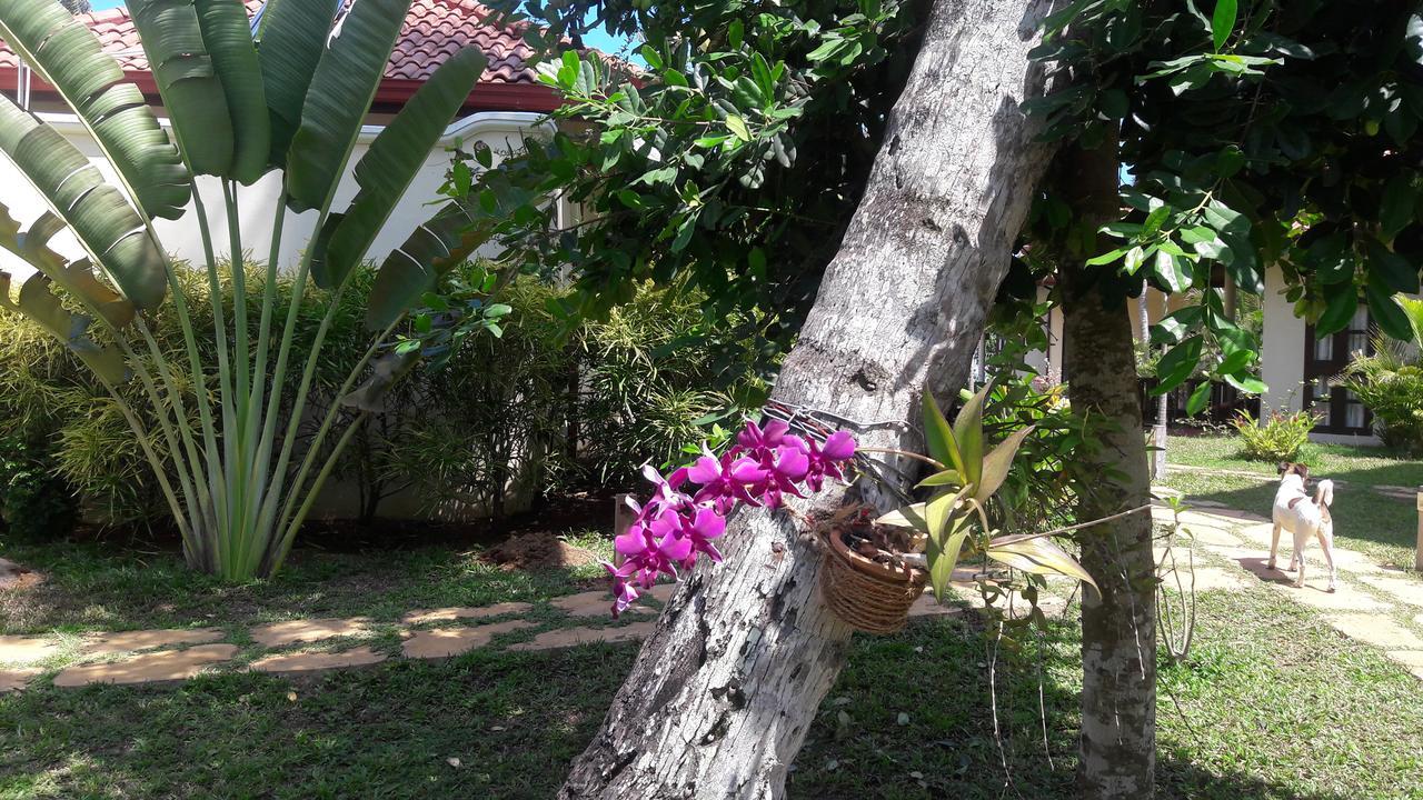 Lanka Beach Grand Villa Rekawa エクステリア 写真